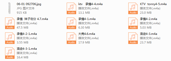 浪迹蓉城计划完整线下录音-888资源网