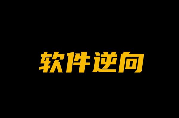 天野：软件逆向破解实战29期，基础到实战-888资源网