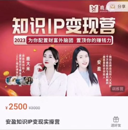 知识IP变现训练营，手把手带你用知识挣钱-888资源网