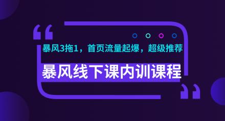 超级推荐+淘宝首页流量起爆+暴风3拖1 暴风线下课淘宝内训课程 录音和视频-888资源网