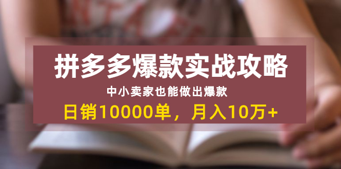 拼多多爆款实战攻略：中小卖家也能做出爆款-888资源网