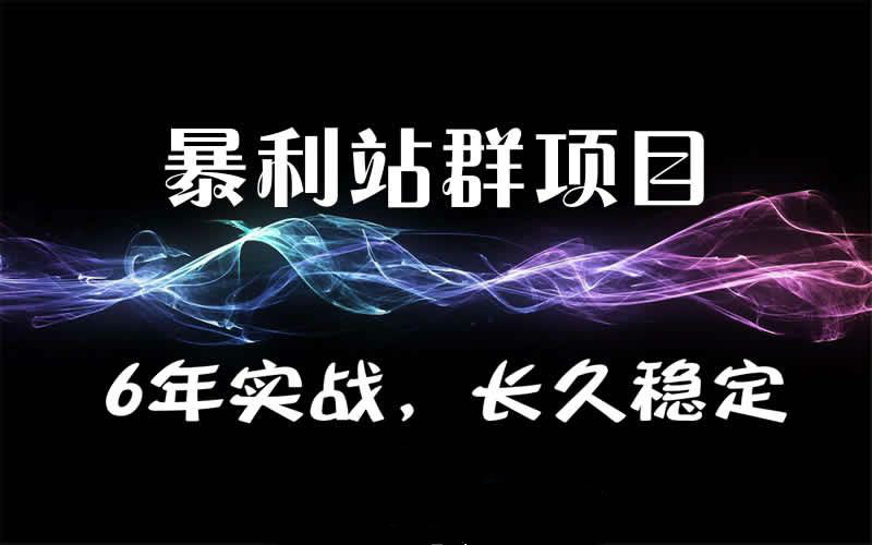 暴疯团队站群SEO赚钱项目 公众号赚钱项目课-888资源网
