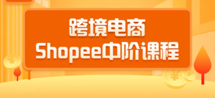 千鸟跨境：跨境电商蓝海新机会-shopee中阶课程(价值3900)-888资源网