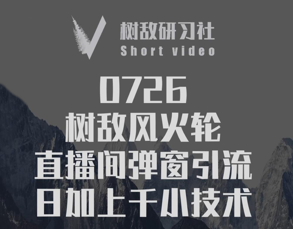 树敌研习社：0726树敌零粉电脑伴侣直播(无水印)-888资源网