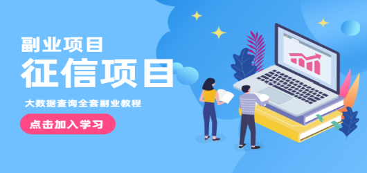 征信副业：搬砖操作大数据查询信用项目赚钱教程(无水印)-888资源网