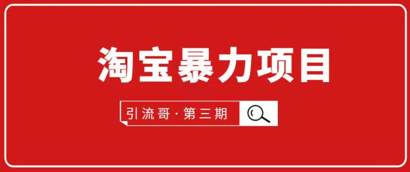 引流哥·淘宝暴力项目第3期，价值798元-888资源网