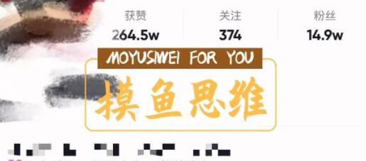 摸鱼思维·抖音涨粉变现玩法复盘-888资源网