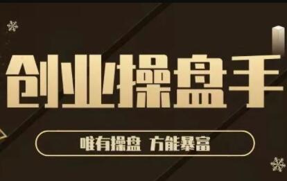 极简·创业操盘手，年入百万的指导课-888资源网