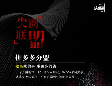 尖商联盟·拼多多分盟，价值1288元-888资源网