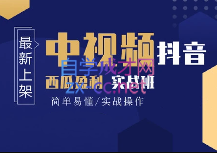 高鹏圈·蓝海中视频项目，价值980元-888资源网