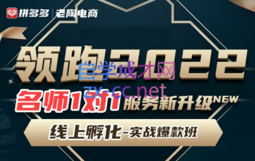 老陶·领跑2022拼多多VIP课程【更新12月】-888资源网