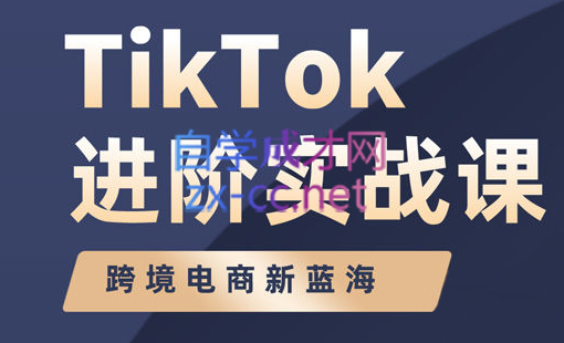 大山老师·TikTok进阶实战课-888资源网