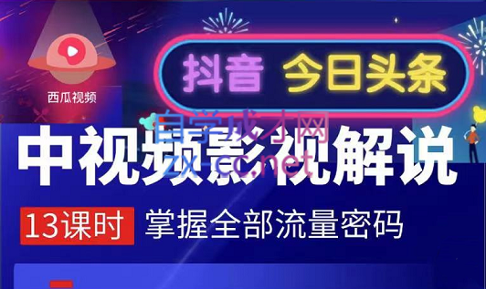 嚴如意·中视频影视解说—掌握流量密码，价值980元-888资源网