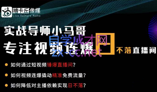小马哥·视频连爆日不落直播间，价值1980元-888资源网