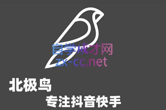 大威老司·音乐号无人直播教学，价值998元-888资源网
