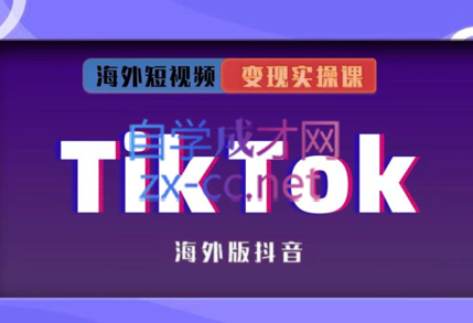 众源·TikTok变现实操课，价值5880元-888资源网