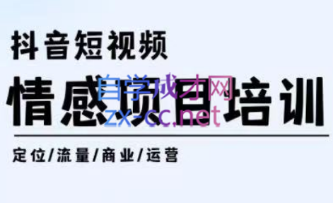 丁老师·抖音短视频情感项目培训，价值1080元-888资源网