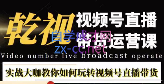 刘涛老师·视频号直播带货运营课，价值1980元-888资源网