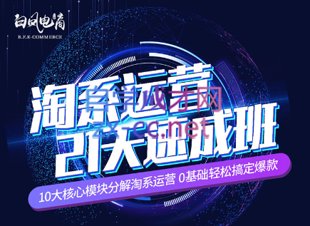 白凤电商·淘系运营21天速成班（2023年1月更新）-888资源网