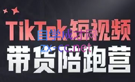 海外电商学院·TikTok短视频带货陪跑营，价值6800元-888资源网