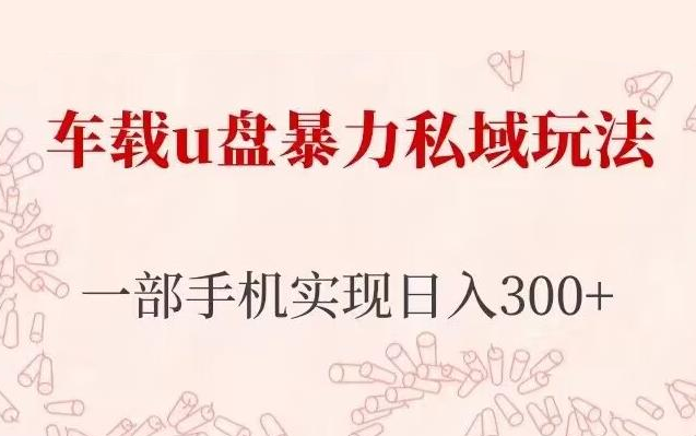 长期项目：车载u盘暴力私域玩法，仅需一部手机实现日入300+-888资源网