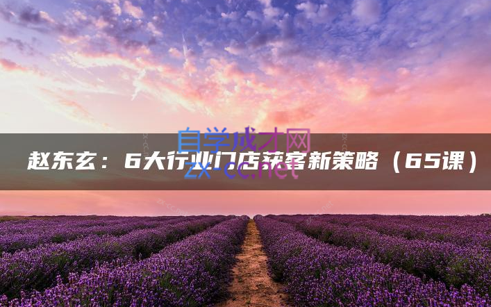 赵东玄：6大行业门店获客新策略-888资源网