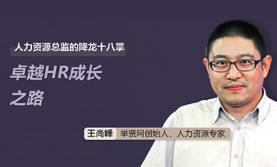 人力资源总监的降龙十八掌：卓越HR成长之路-888资源网