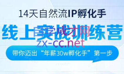 瑶瑶·自然流IP孵化手-888资源网