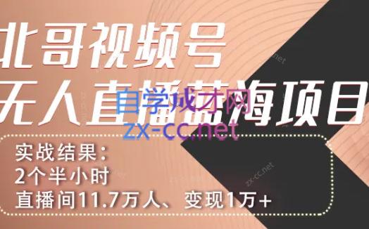 言小北·视频号半无人直播-888资源网
