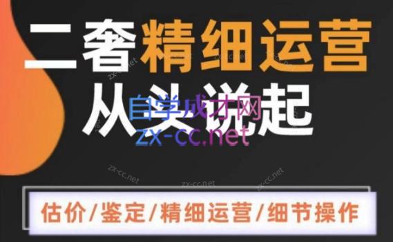 奢奢向上·二奢精细运营从头学起-888资源网
