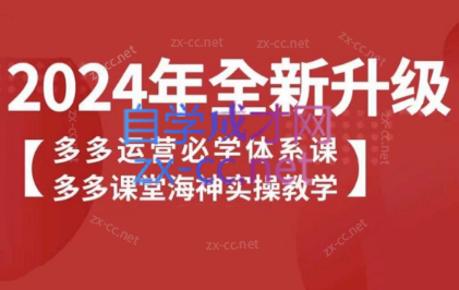 海神老师·拼多多运营必学体系课-888资源网
