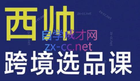 西帅老师·跨境选品课-888资源网