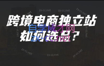 蒙卡老师·跨境爆品-建站课程-888资源网