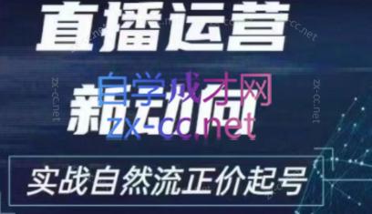 2024电商自然流起号-888资源网
