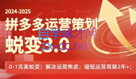 大力老师·2024拼多多运营策略蜕变3.0-888资源网